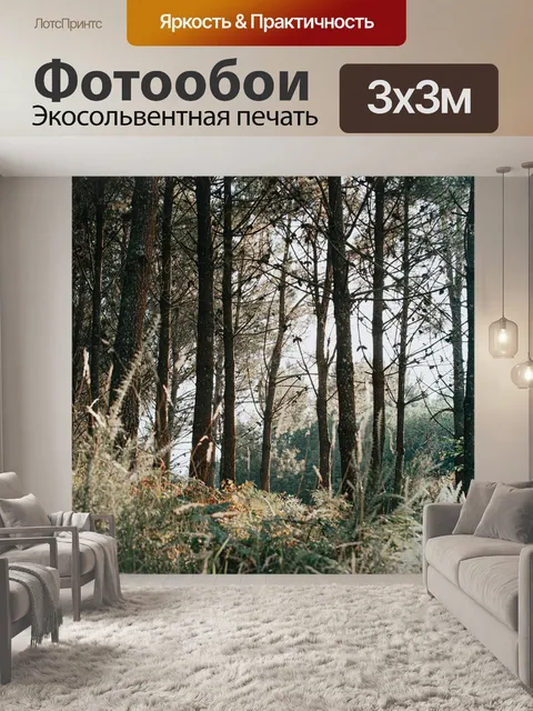 Фотообои Лес
