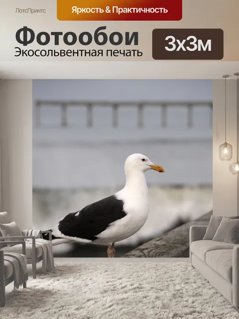 Фотообои Чайка и пирс
