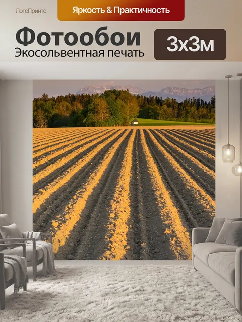 Фотообои Поля