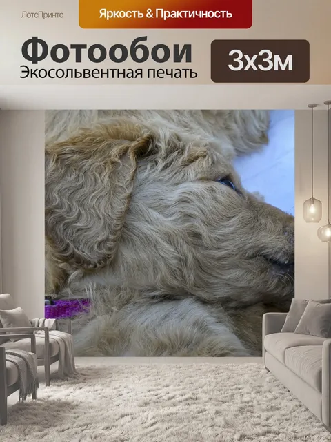 Фотообои Золотой Щенок Щенка