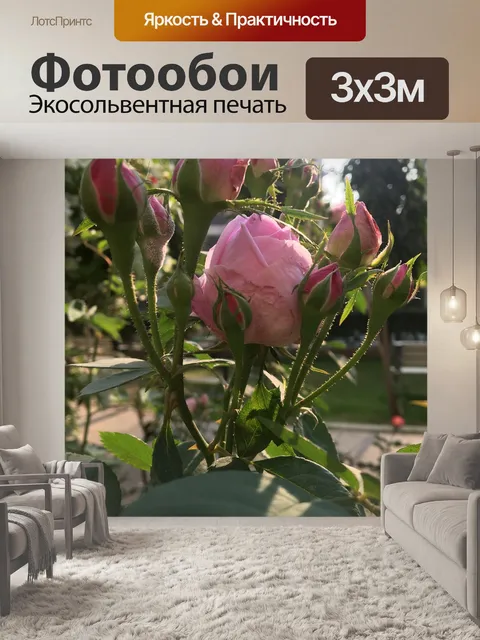 Фотообои Роза