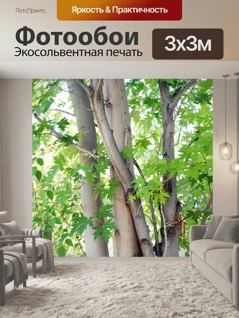 Фотообои Дерево