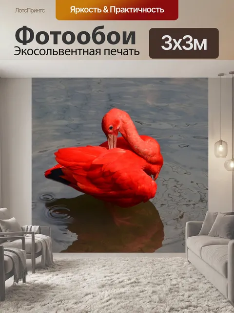 Фотообои Озеро