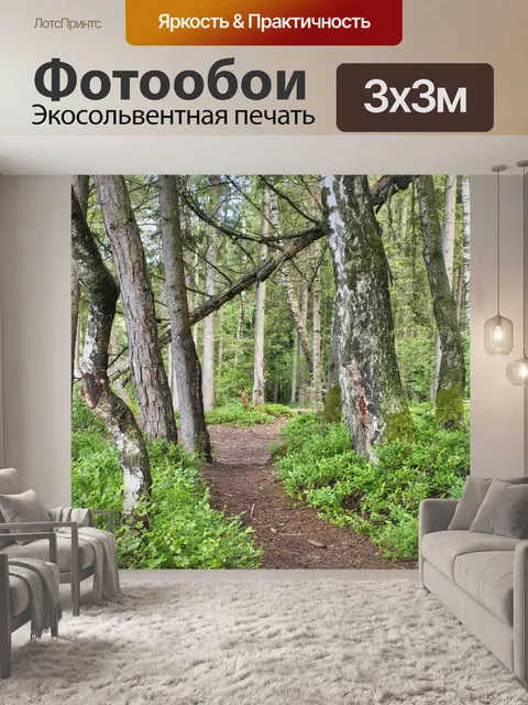 Фотообои Дорожка
