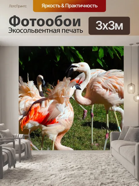 Фотообои Фламинго