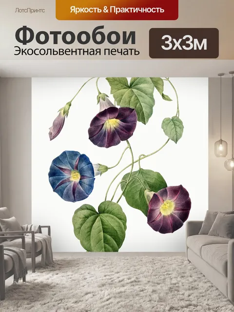 Фотообои Ипомея винтаж искусство старый