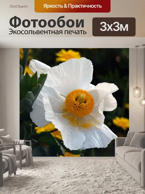 Фотообои Матилия Маки