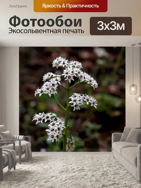 Фотообои Цветы