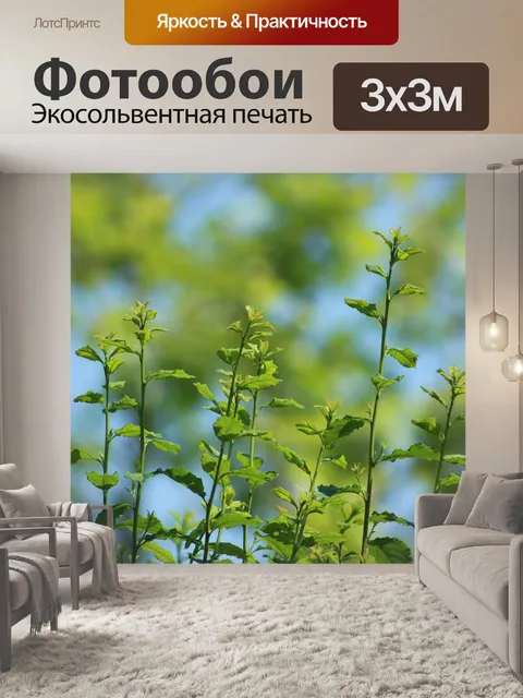 Фотообои Дерево
