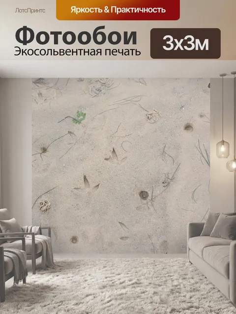 Фотообои Следы в ваддензе