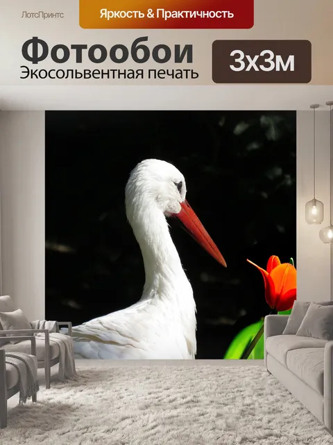 Фотообои Природа