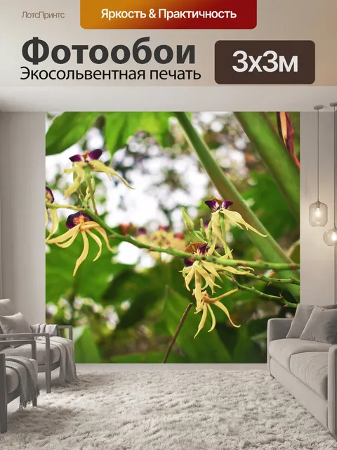 Фотообои Природа