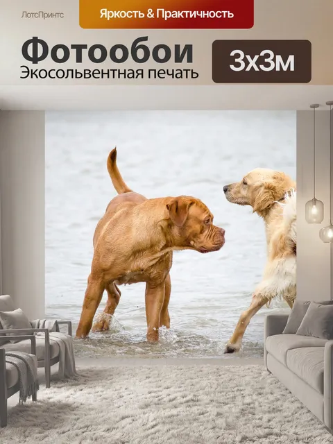 Фотообои Собака