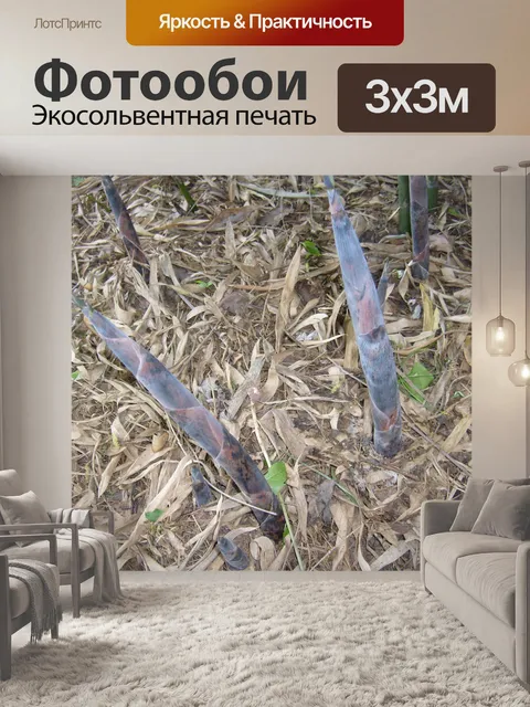 Фотообои Bamboo