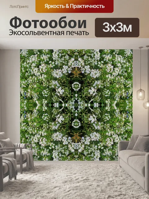 Фотообои квадрат белого меда цветы