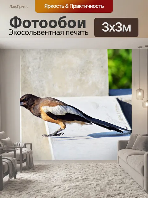 Фотообои Птица