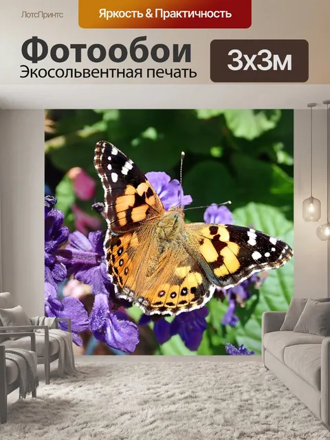 Фотообои Бабочка