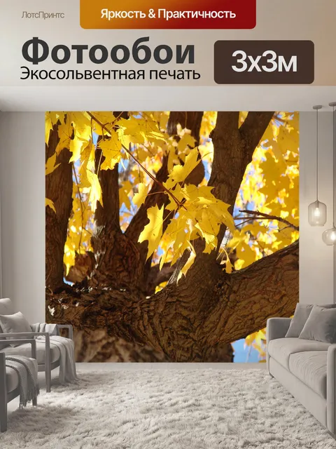 Фотообои Глядя на дерево 3