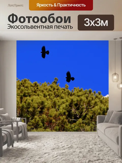 Фотообои Ворона