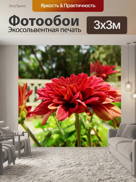 Фотообои Сад на крыше