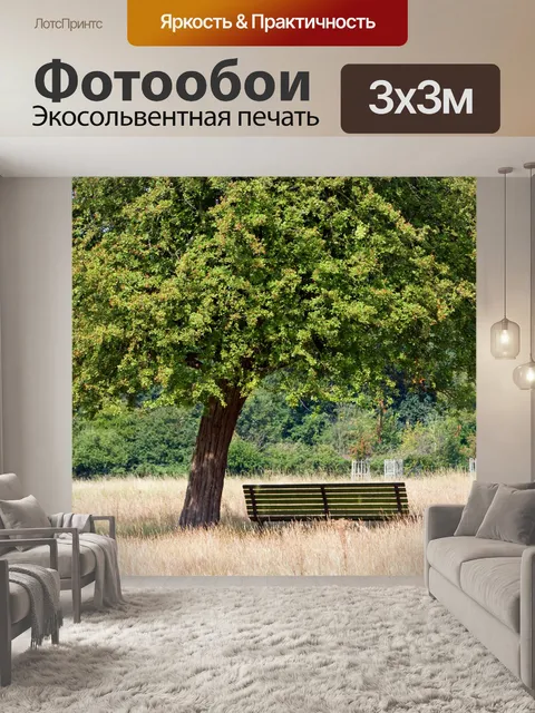 Фотообои Дерево и скамьи