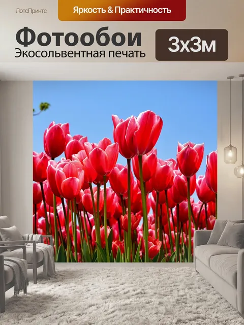 Фотообои Тюльпаны