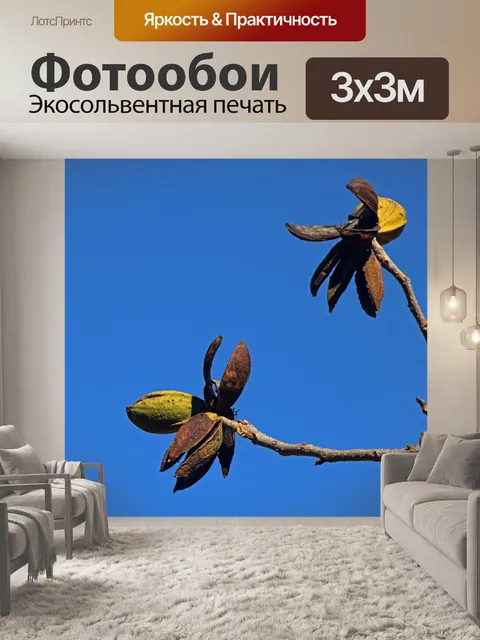 Фотообои Орех пекан с орехами пекан
