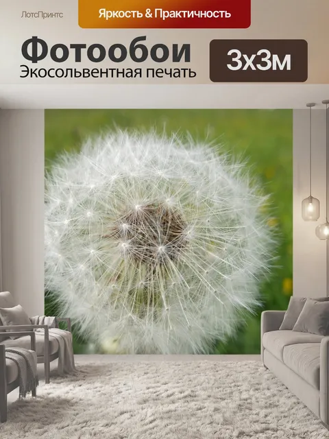 Фотообои Одуванчик