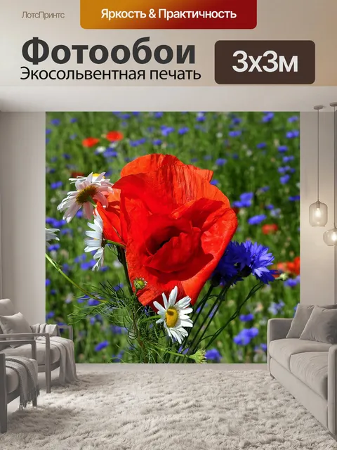 Фотообои Поле