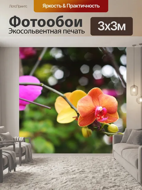 Фотообои Орхидеи