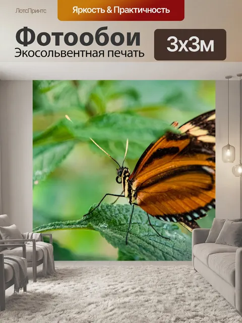 Фотообои Бабочка