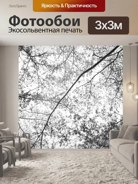 Фотообои Лес