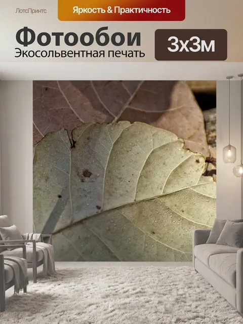 Фотообои Сухие листья