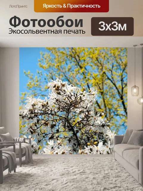 Фотообои Цветы