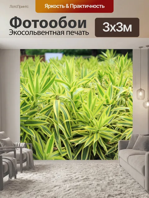 Фотообои Зеленые листья