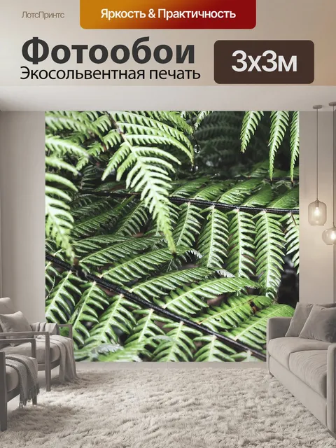 Фотообои Папоротник