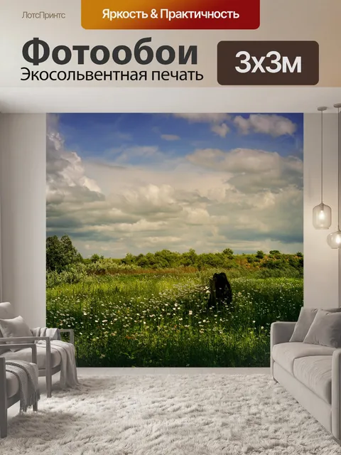 Фотообои Поле