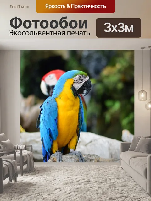 Фотообои Macow