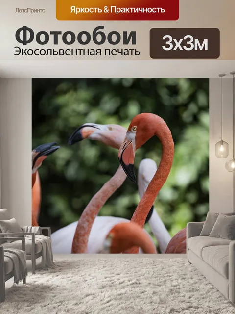 Фотообои Поведение птицы фламинго