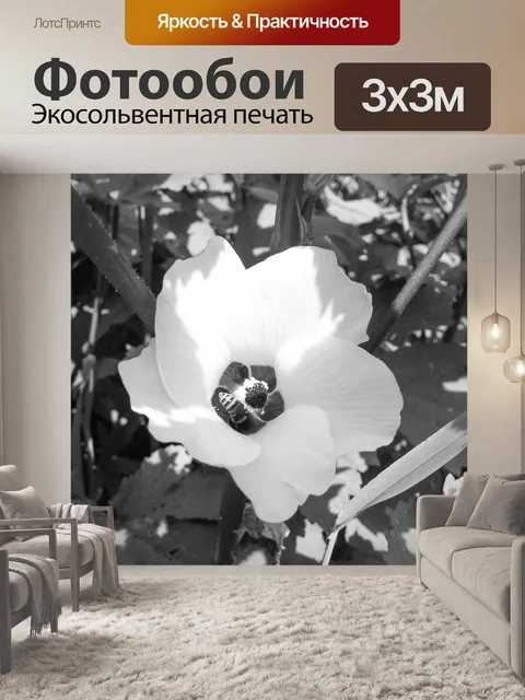 Фотообои Цветок