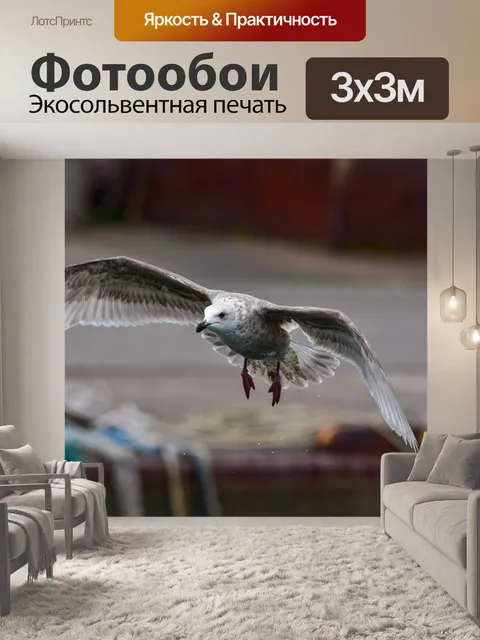 Фотообои Животное