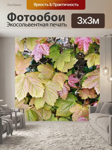 Фотообои Листья