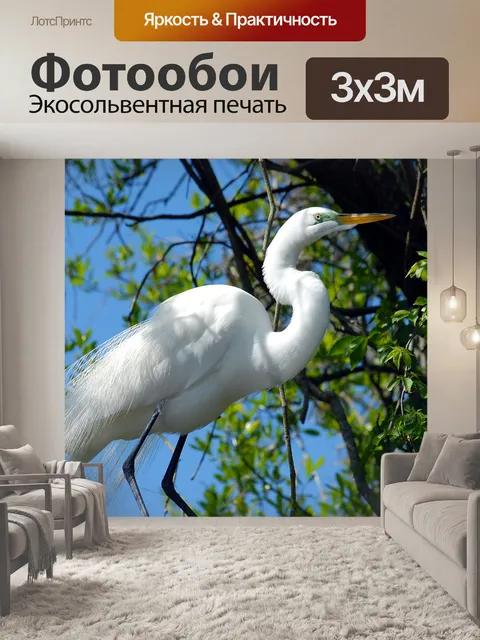 Фотообои Большая белая цапля