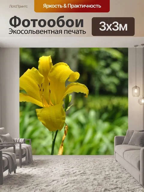 Фотообои Цветок