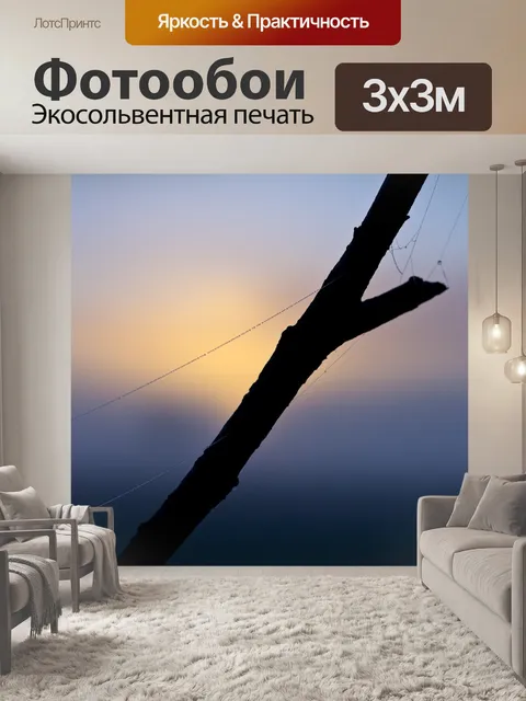Фотообои Туман