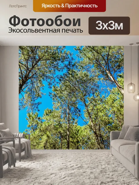 Фотообои Сосновый лес, Пан Унг, Мэй Хонг Сон