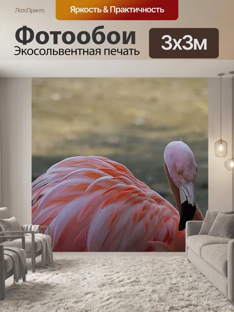 Фотообои Птица