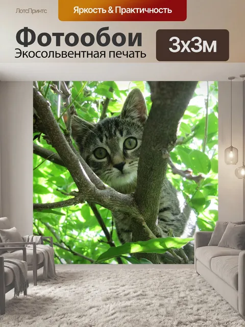 Фотообои Кот