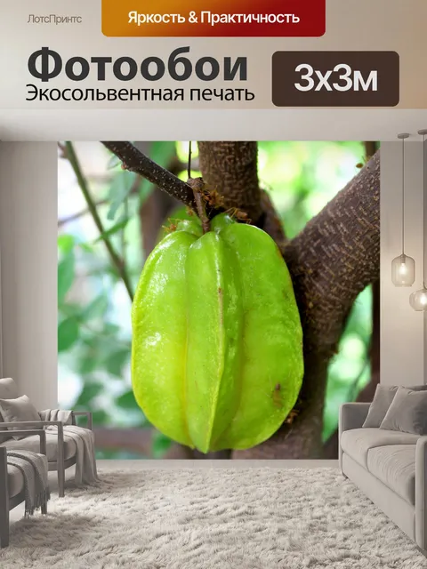 Фотообои Карамбола Звездные фрукты Бесплатное изо