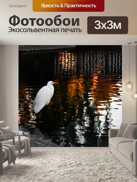 Фотообои Белая цапля воды в